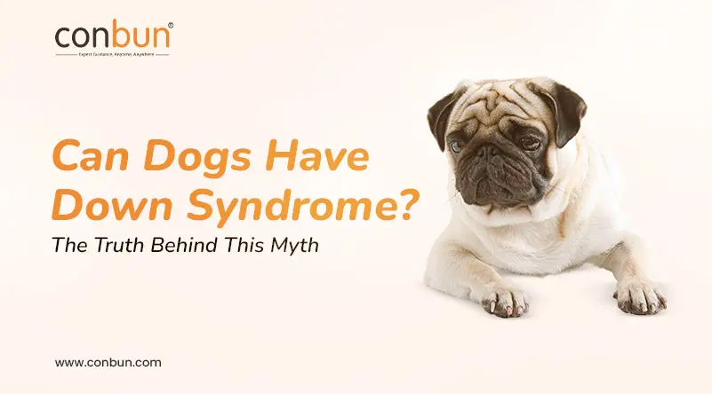 Can Dogs Have Down Syndrome? The Truth Behind This Myth